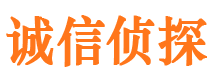 绩溪市调查公司